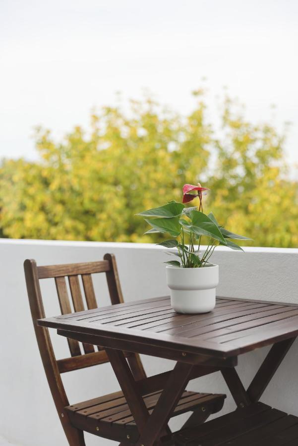 Boavista Sunlit Duplex With Terrace Apartment Порто Екстериор снимка